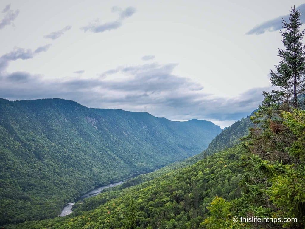 Outdoor playground nestled in Quebec's wilderness.