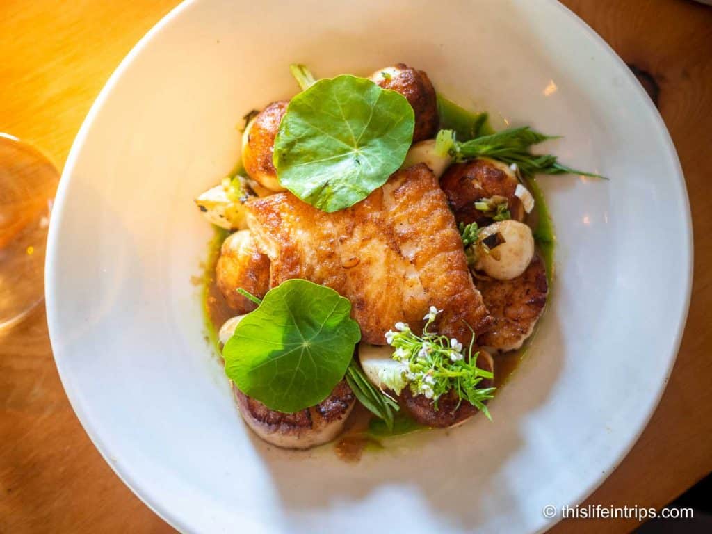 Pluvio: Where flavors come to life in Tofino