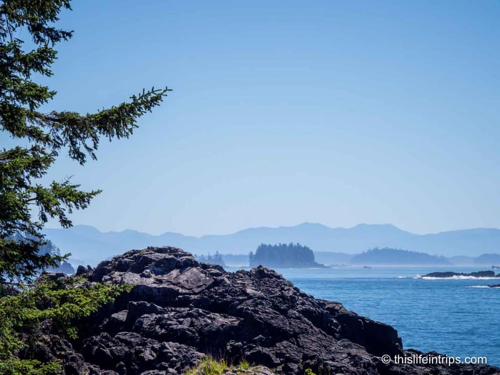 The untamed beauty of the Wild Pacific Trail