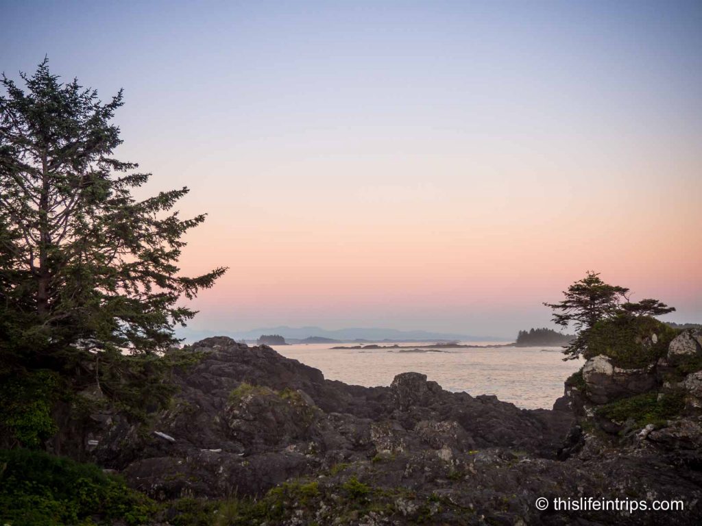 Enjoying serene moments at the Wild Pacific Trail