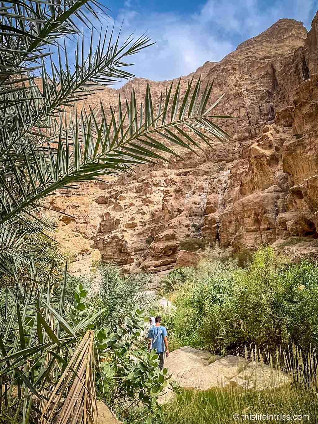 Immerse yourself in nature with a Wadi Ash Shab trek.