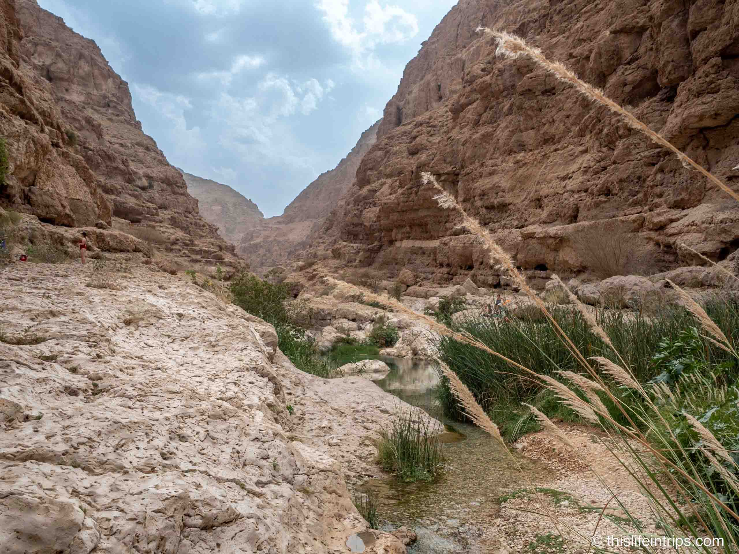 Explore the natural beauty of Wadi Shab in Muscat, Oman