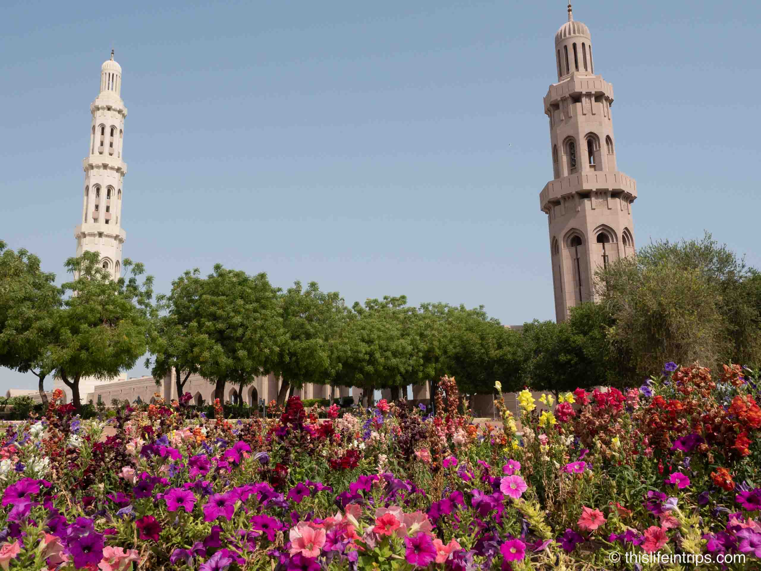 Oasis of tranquility at Sultan Qaboos Grand Mosque