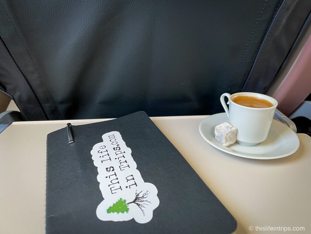 Turkish Air A320 Business Class Review