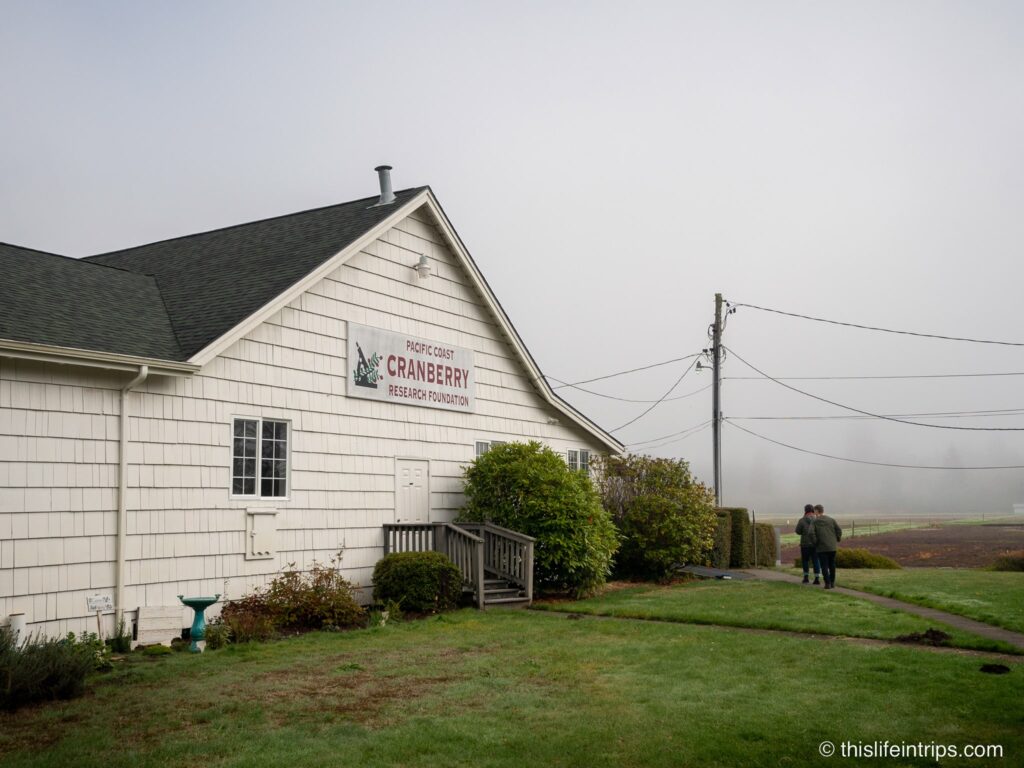 Discover the secrets of cranberry farming at the Long Beach Cranberry Museum.