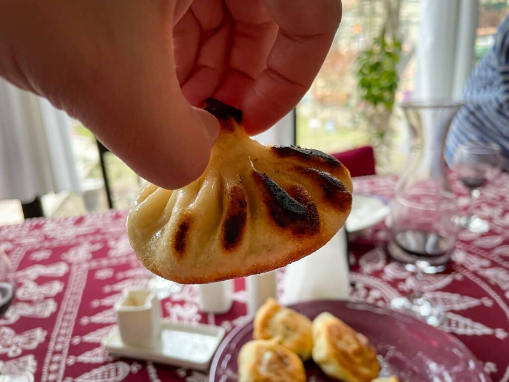 Hand holding up one deep fried khinkali