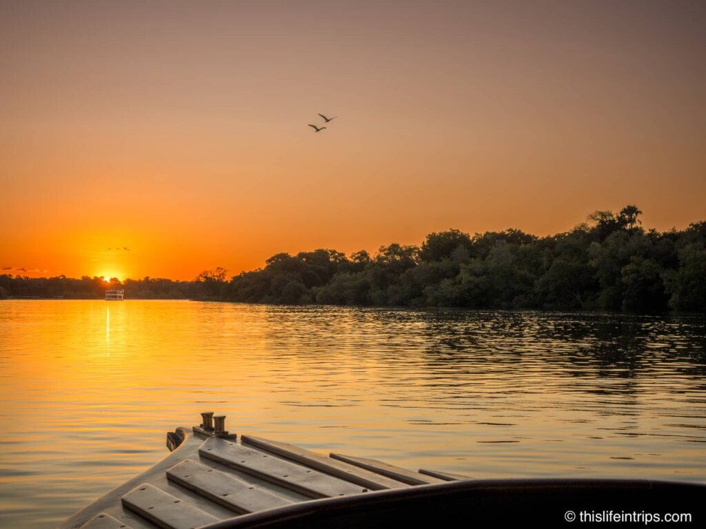 Birds flying towards a setting sun. Photo from the bow of a Zambezi river cruise
