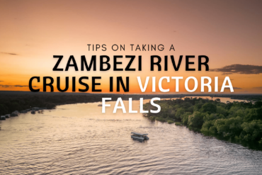 Zambezi River cruise post cover