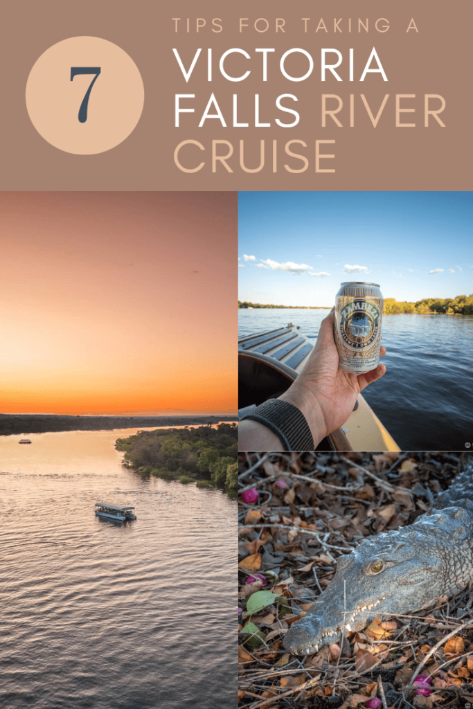 Tips on taking a Zambezi River Cruise Pinterest image