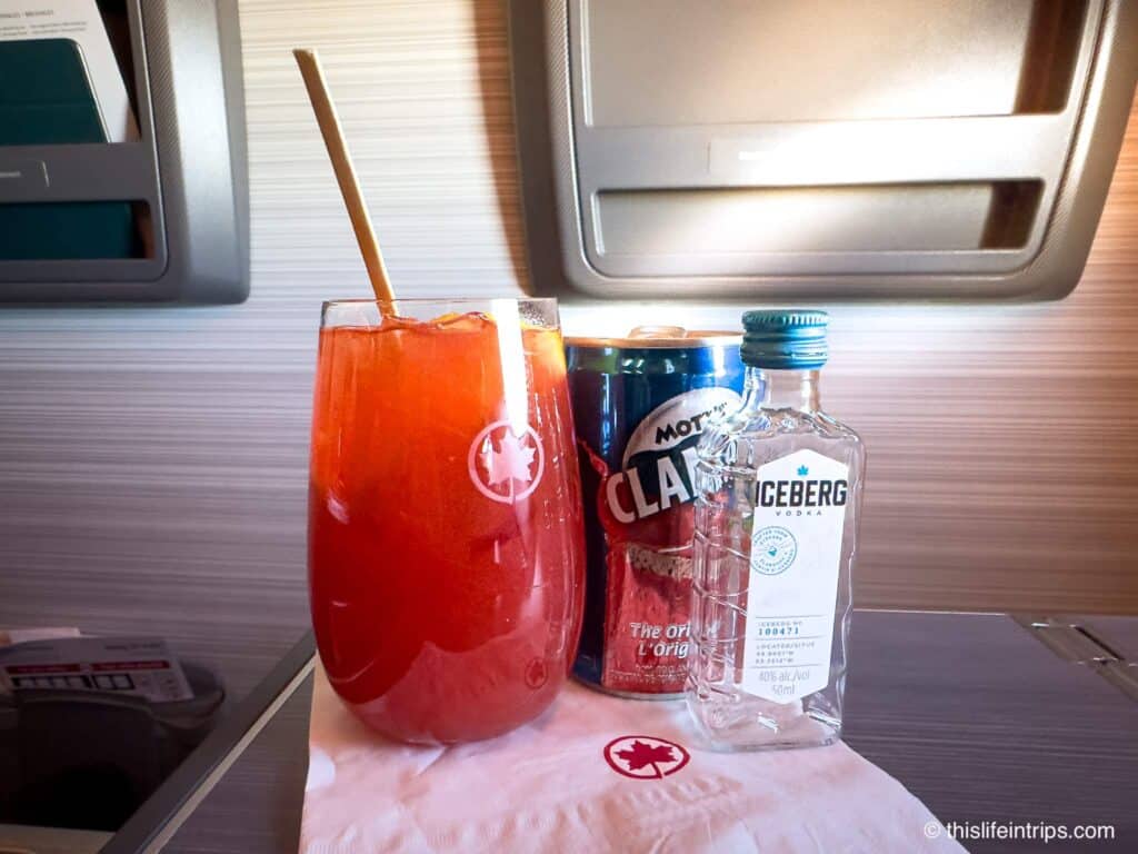 Caesar in Air Canada 737 Max 8 business class