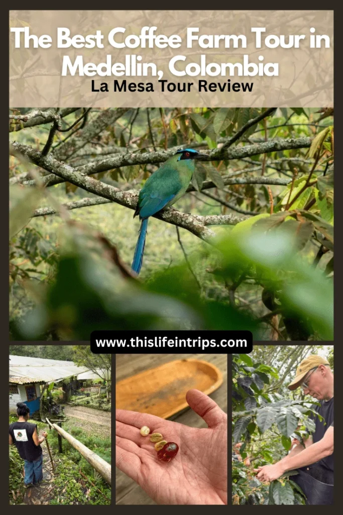 Medellin coffee tour pinterest image