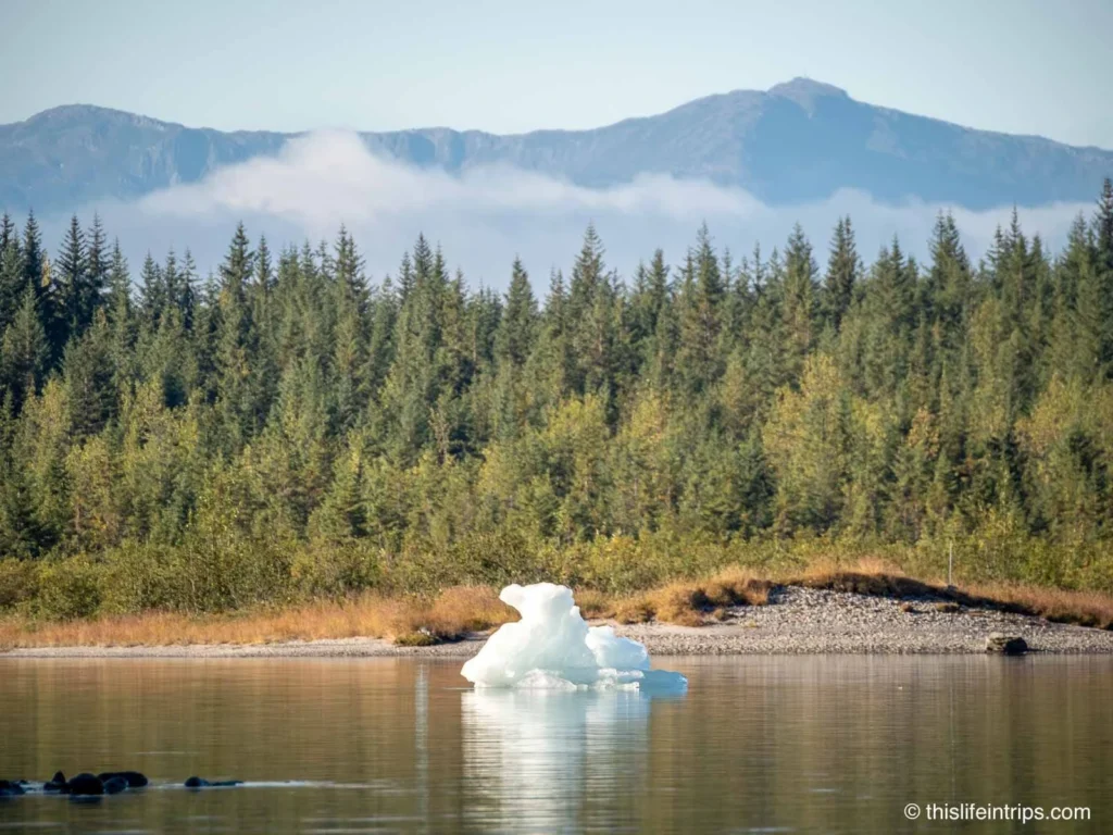 Juneau glacier