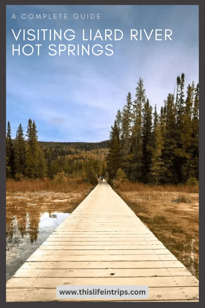 liard river hot springs shareable pinterest image