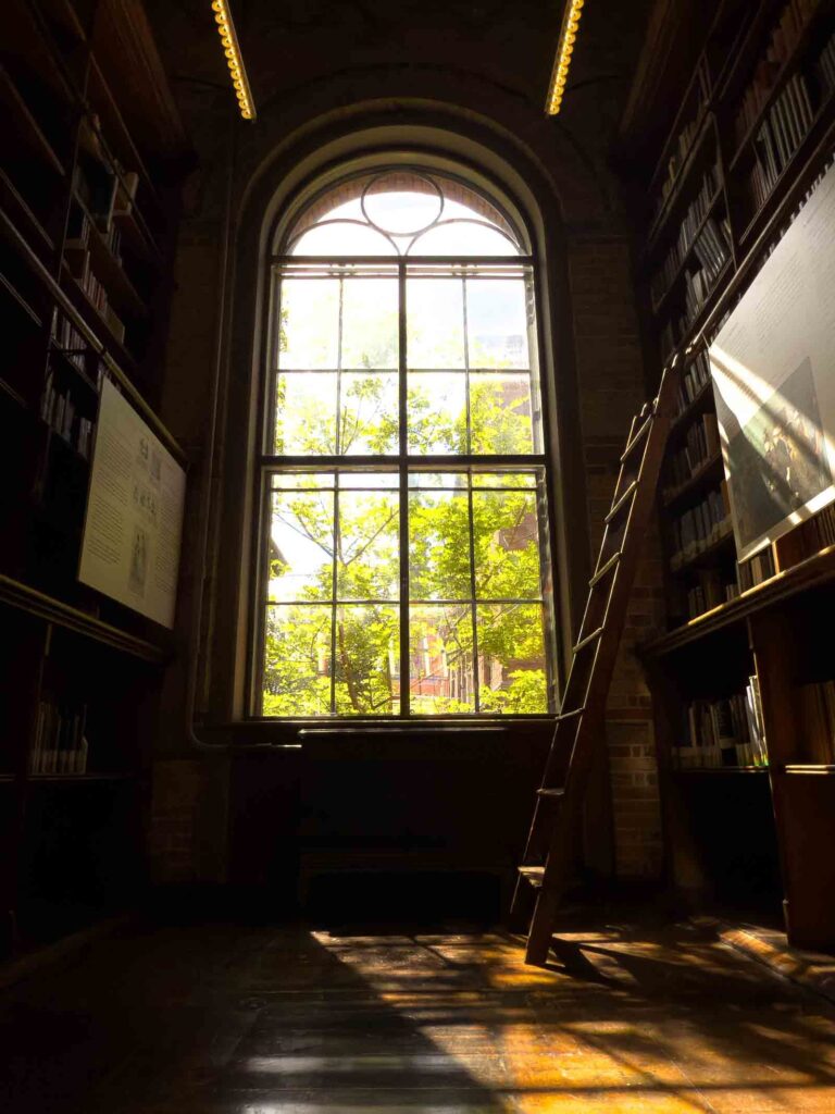 Visiting the University Library is one of the best things to do in Copenhagen.