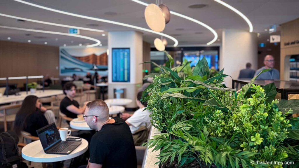 Air Canada Cafe C50 gate